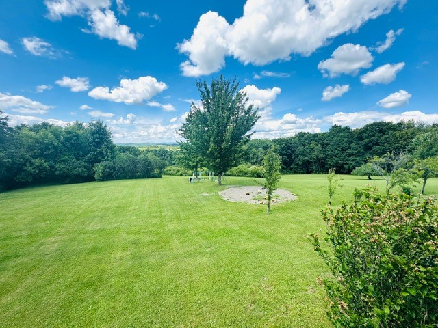 31 Myslivecek Road Lowman, NY 14861 - Photo 33 of 50