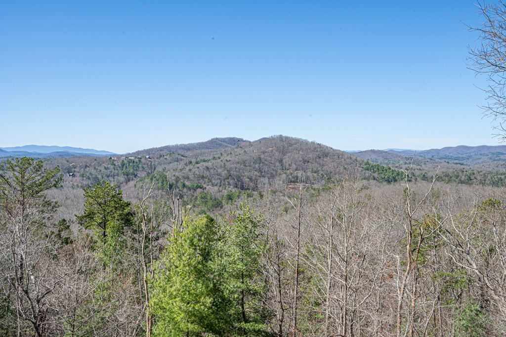 1410 Graham Road Murphy, NC 28906 - Photo 26 of 34