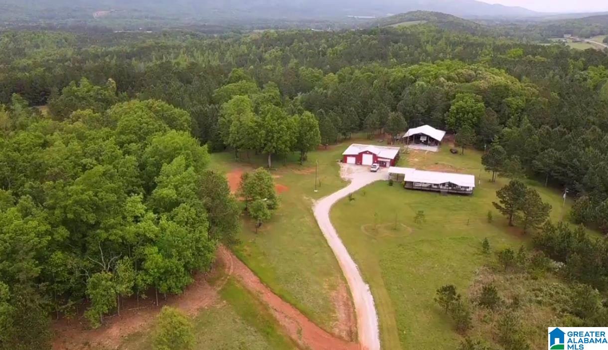 1735 Nature Trail Jacksonville, AL 36265 - Photo 1 of 22