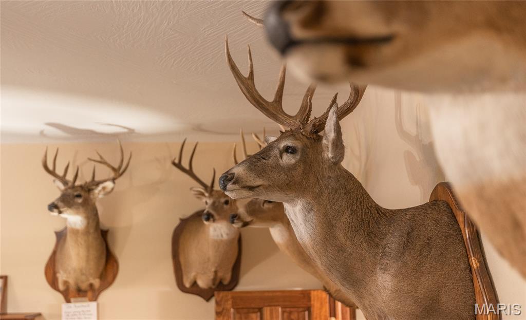 24418 Golden Beach Road Barnett, MO 65011 - Photo 32 of 55