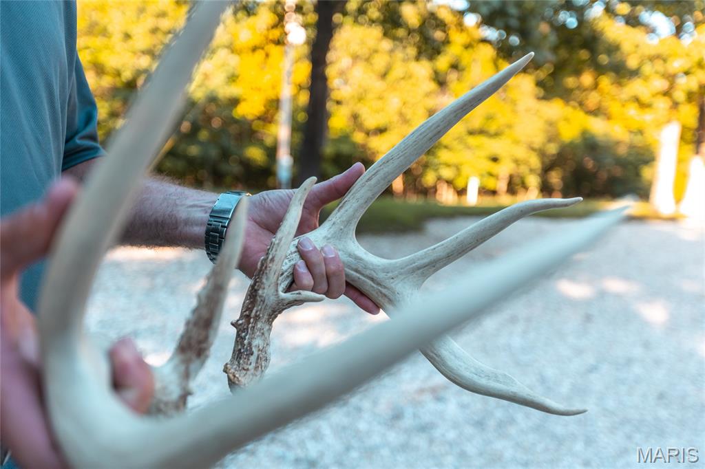 24418 Golden Beach Road Barnett, MO 65011 - Photo 33 of 55