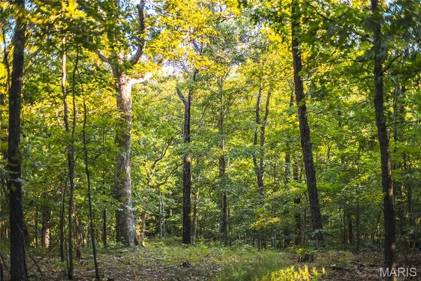 $932,000 | 24418 Golden Beach Road, Barnett, MO 65011