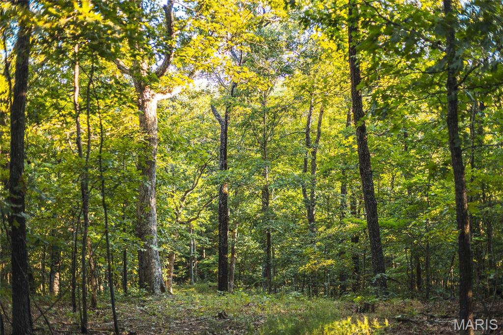 24418 Golden Beach Road Barnett, MO 65011 - Photo 37 of 55