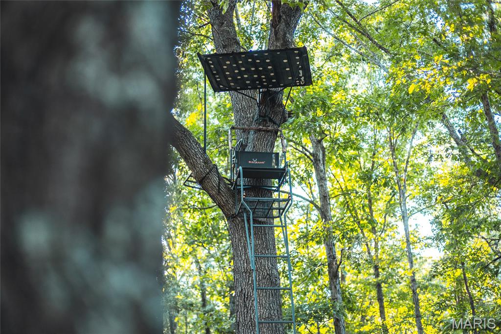 24418 Golden Beach Road Barnett, MO 65011 - Photo 38 of 55