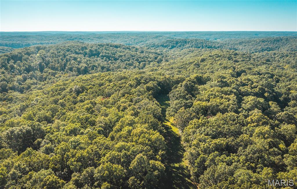 24418 Golden Beach Road Barnett, MO 65011 - Photo 40 of 55