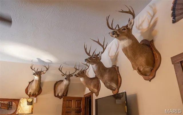 $932,000 | 24418 Golden Beach Road, Barnett, MO 65011