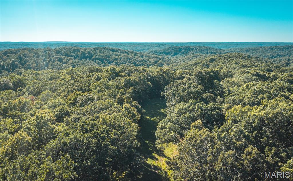 24418 Golden Beach Road Barnett, MO 65011 - Photo 44 of 55