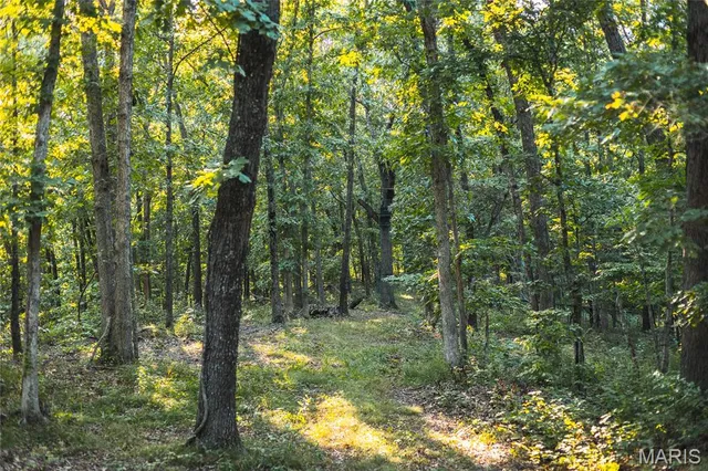 $932,000 | 24418 Golden Beach Road, Barnett, MO 65011