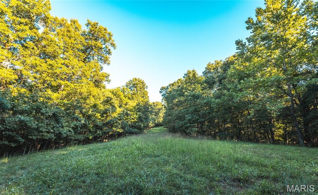 24418 Golden Beach Road Barnett, MO 65011 - Photo 5 of 55