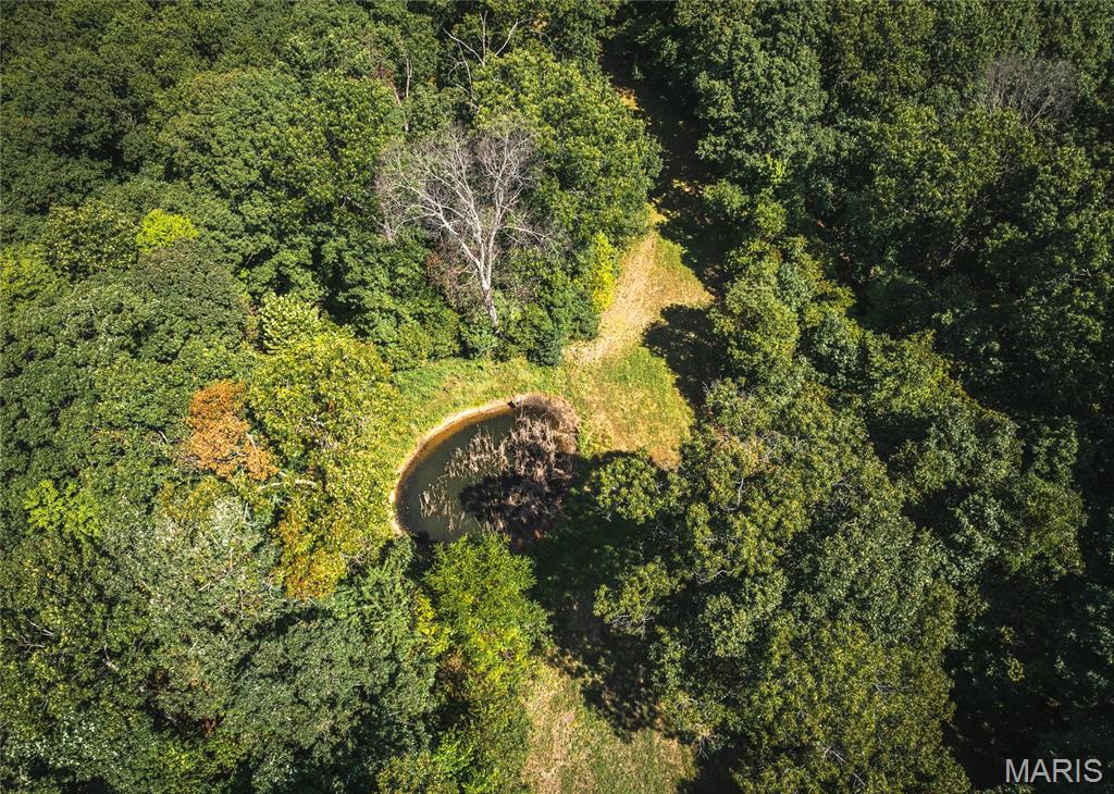 24418 Golden Beach Road Barnett, MO 65011 - Photo 53 of 55