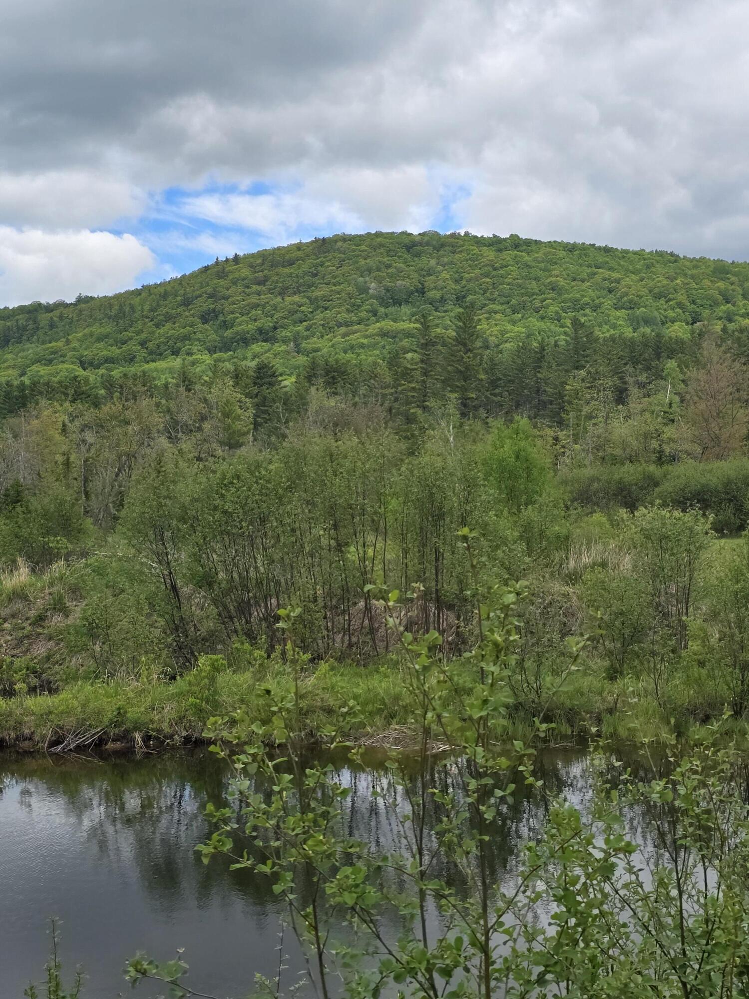 212 Mile Square Road Phillips, ME 04966 - Photo 29 of 33 4