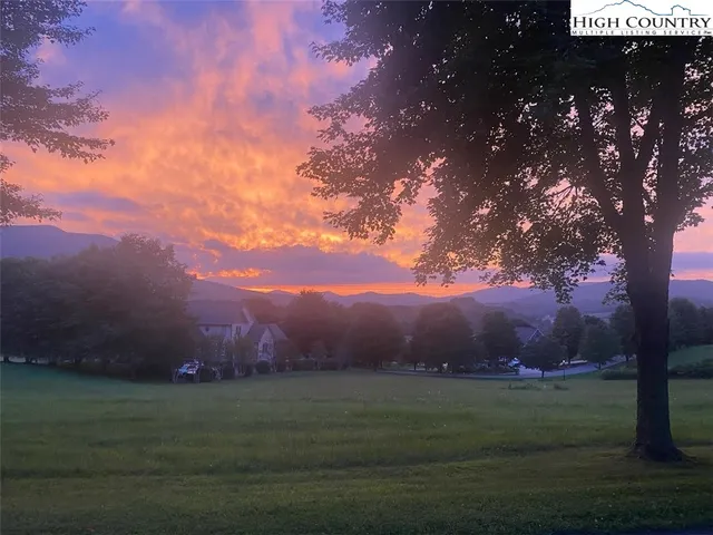 a view of a big yard of a house with a big yard and a large tree
