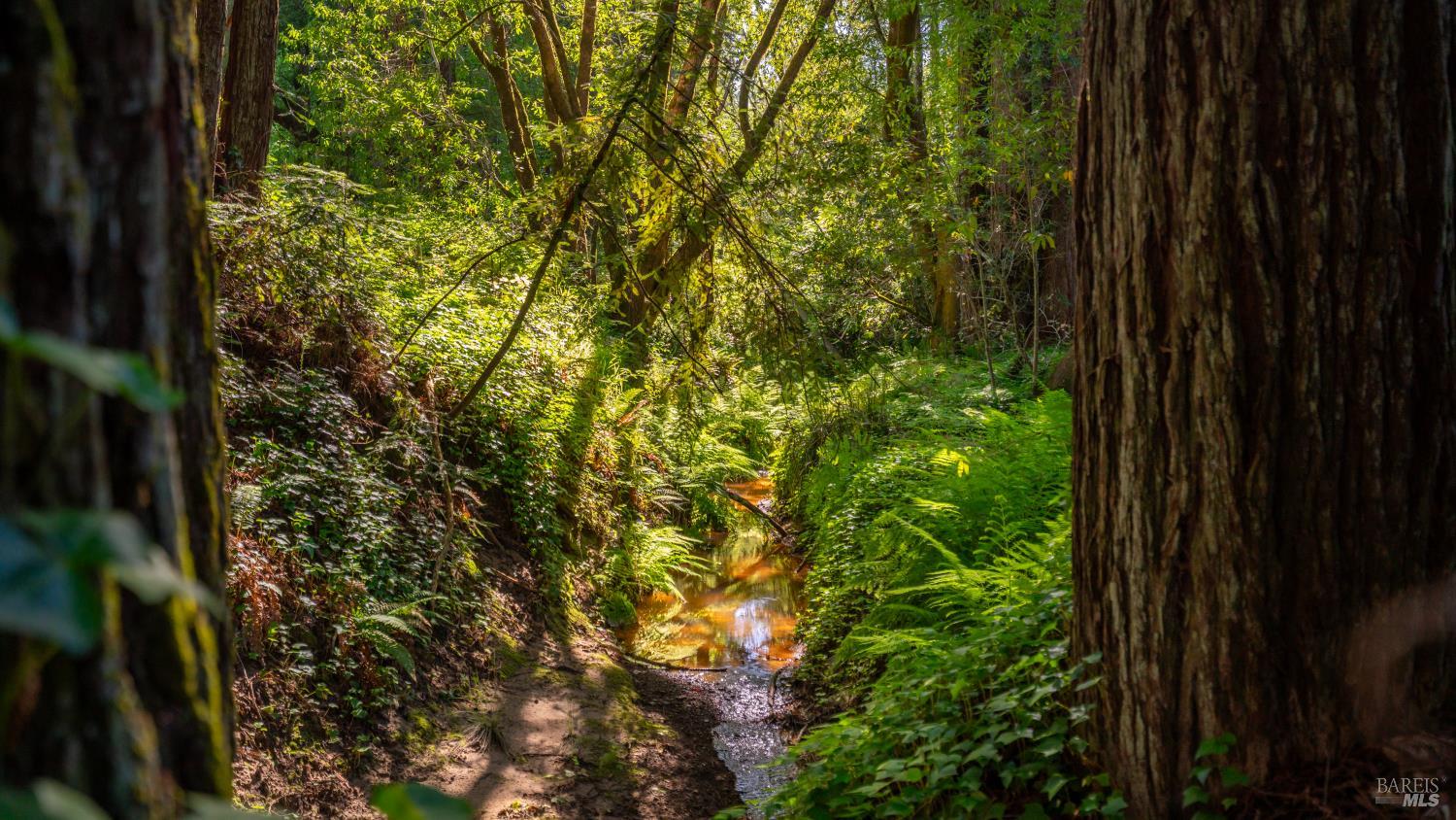9901 Occidental Road Sebastopol, CA 95472 - Photo 51 of 55
