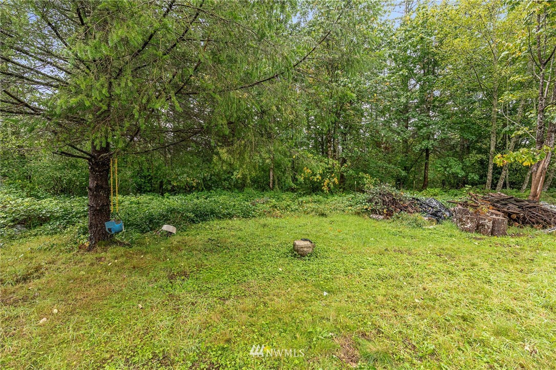 40822 Dorman Road Gold Bar, WA 98251 - Photo 30 of 34 a view of an outdoor space and a yard