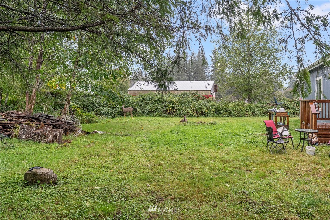 40822 Dorman Road Gold Bar, WA 98251 - Photo 31 of 34 a view of a backyard with table and chairs and potted plants