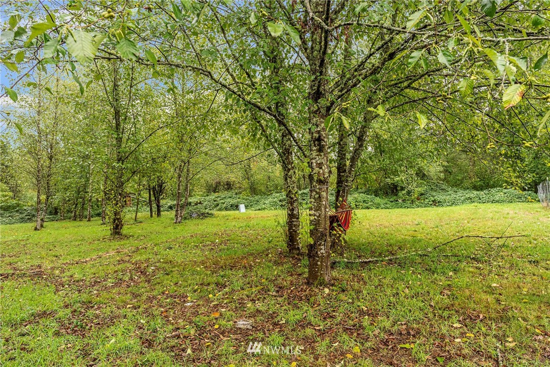 40822 Dorman Road Gold Bar, WA 98251 - Photo 32 of 34 a view of a yard with a tree