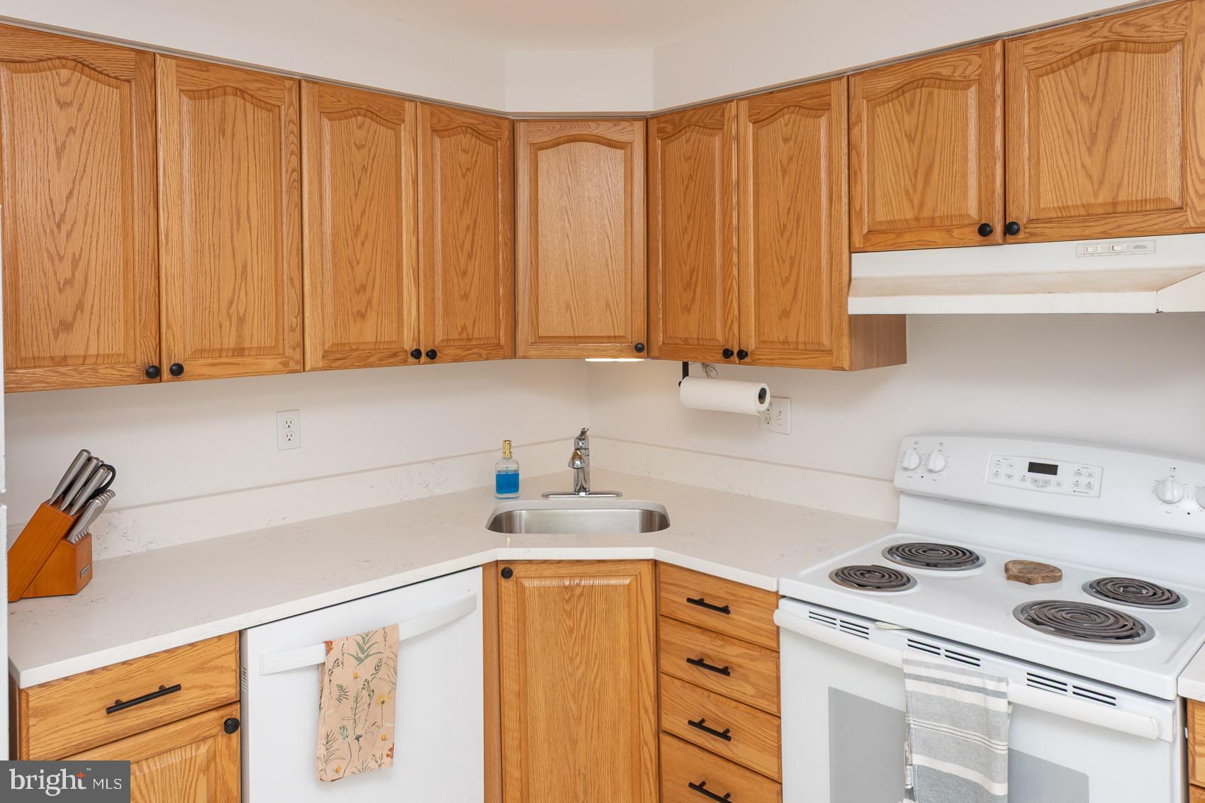 706 Riley Court Westminster, MD 21158 - Photo 25 of 61 Close up View of Kitchen Cabinets