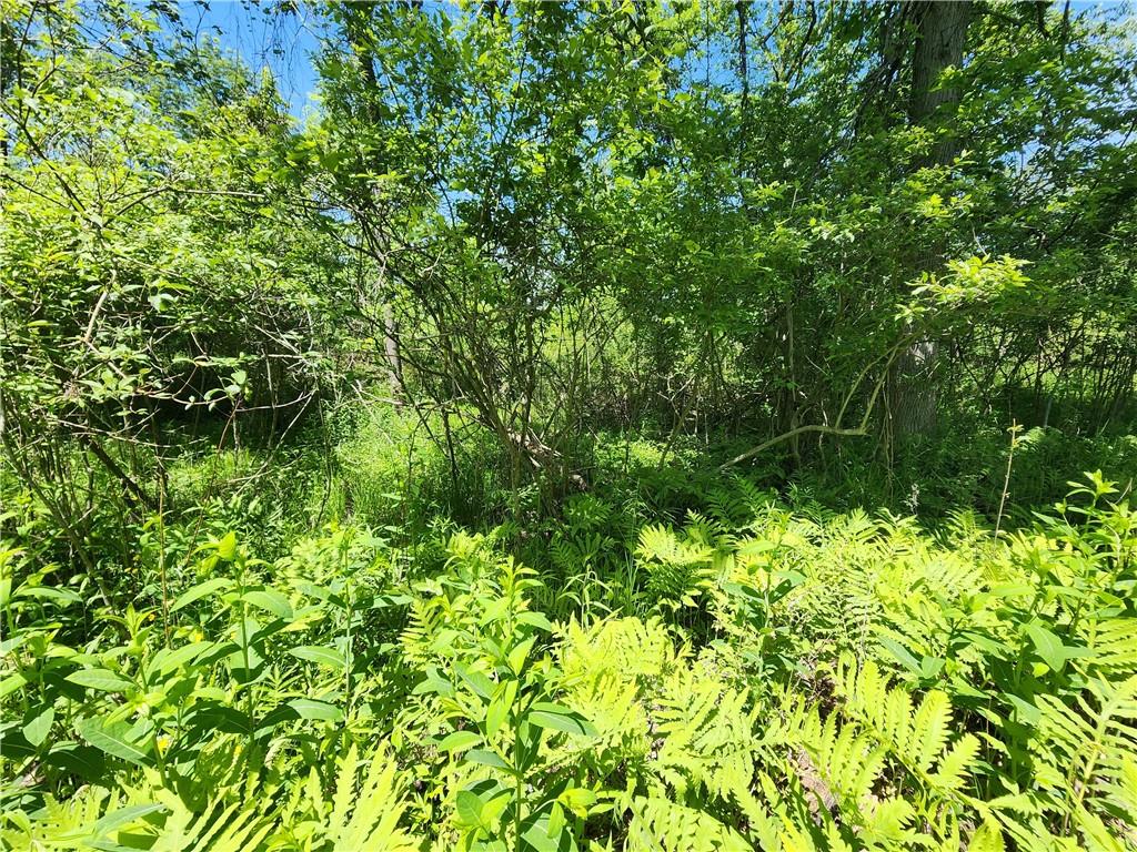 0 Irish Ridge Road Stoneboro, PA 16153 - Photo 5 of 12