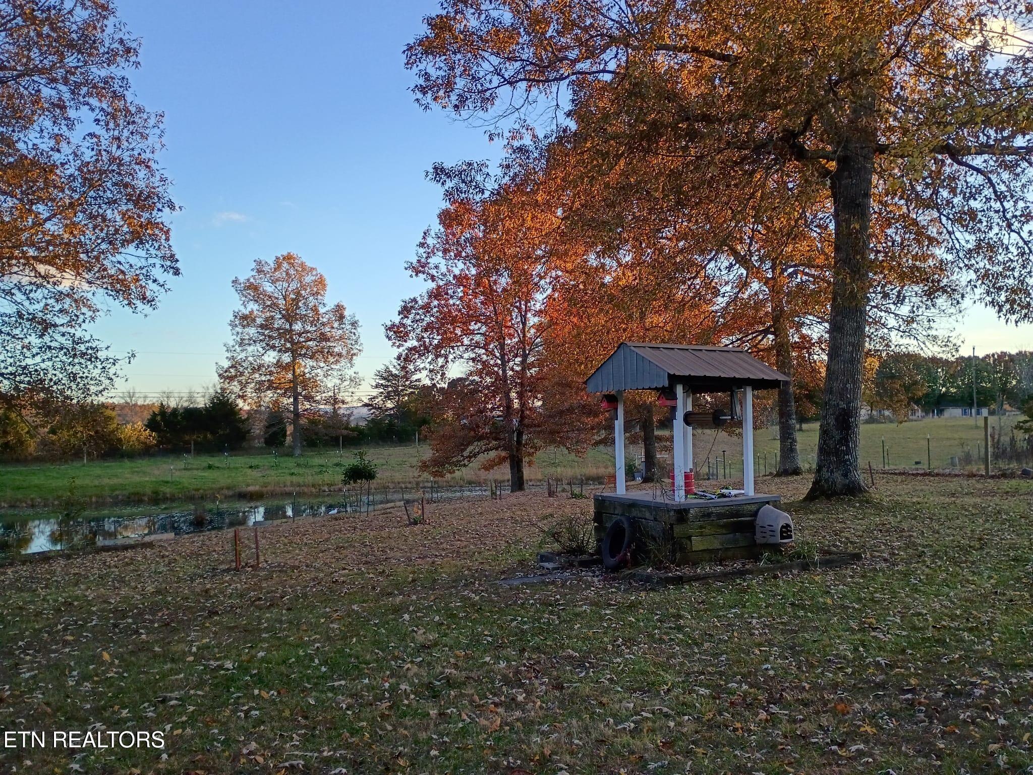 122 Frankfort Road Lancing, TN 37770 - Photo 46 of 60 Fall