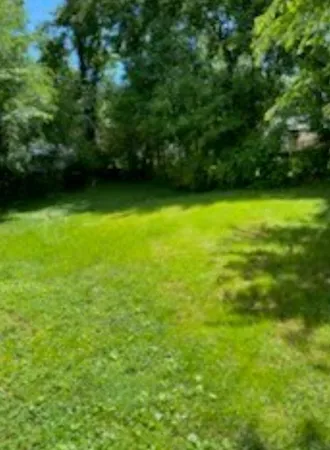 a view of yard with green space
