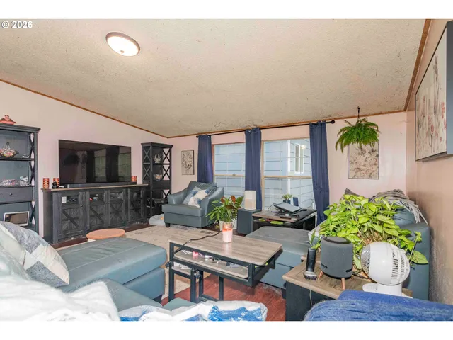 a living room with furniture potted plant and a large window