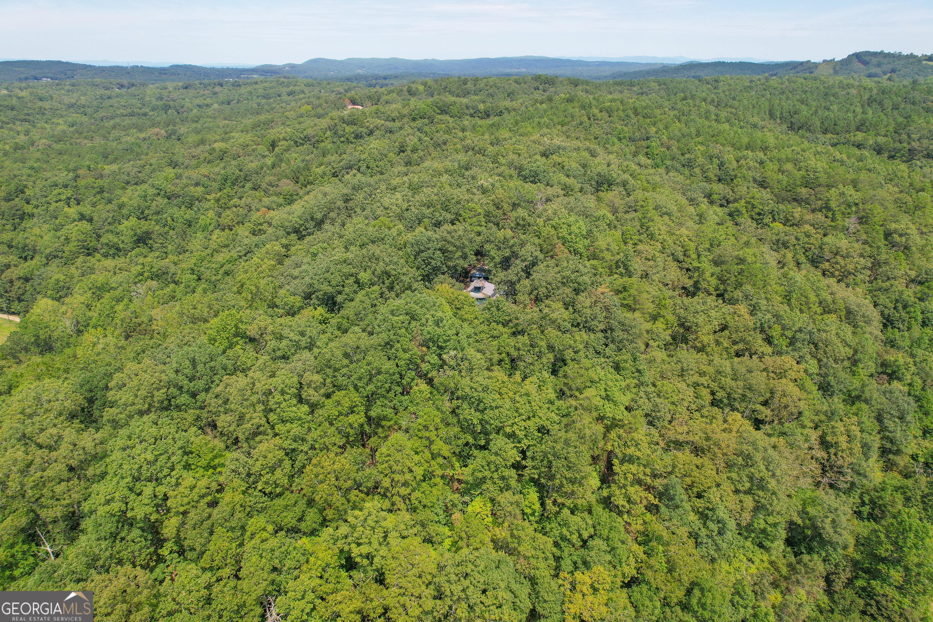 128 Acres On Rambling Road Fairmount, GA 30139 - Photo 10 of 50 Gallery Image 10