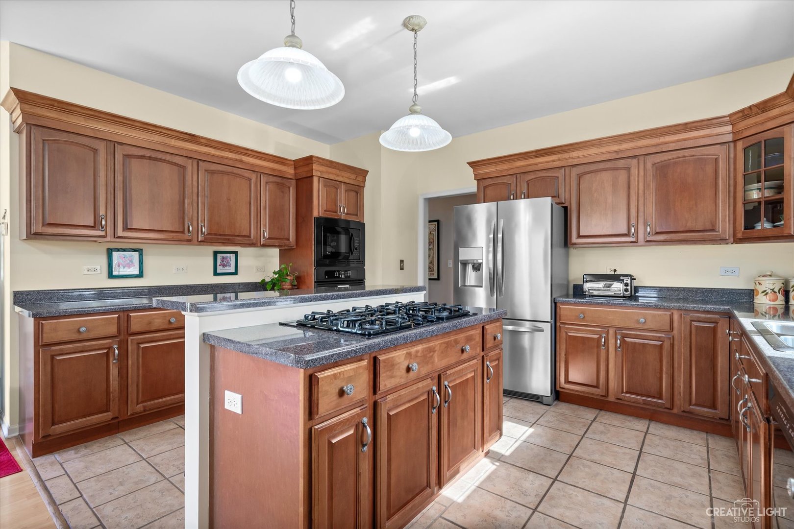 8N440 McGough Road Maple Park, IL 60151 - Photo 9 of 35 a kitchen with stainless steel appliances granite countertop a stove top oven a refrigerator a sink and dishwasher