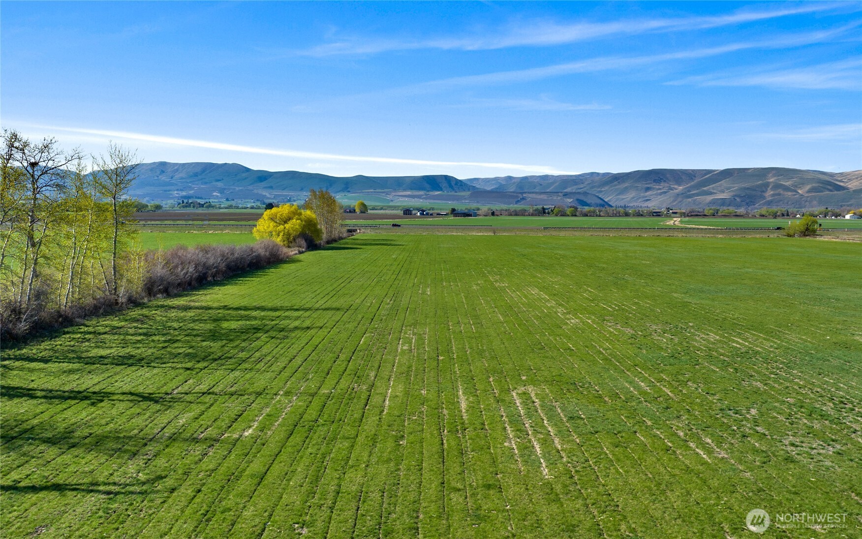 5-xx Rein Road Ellensburg, WA 98926 - Photo 1 of 20 a view of an outdoor space and a yard
