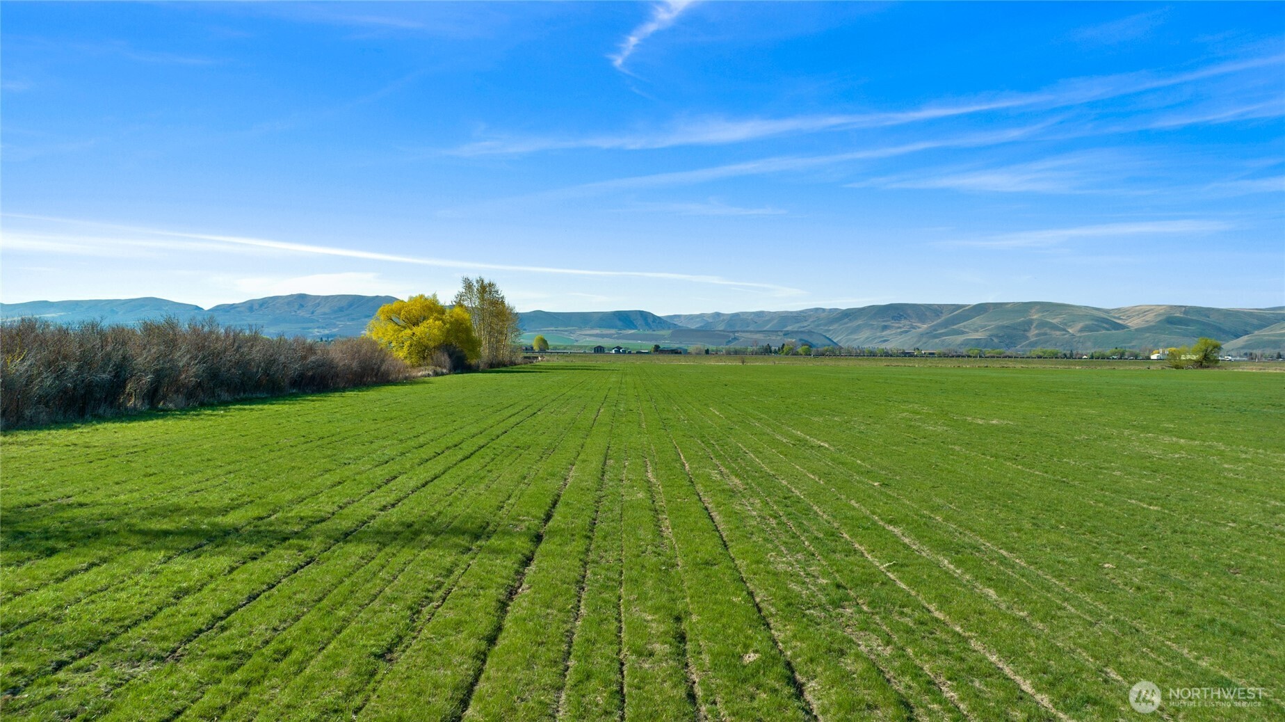 5-xx Rein Road Ellensburg, WA 98926 - Photo 4 of 20 a view of a backyard