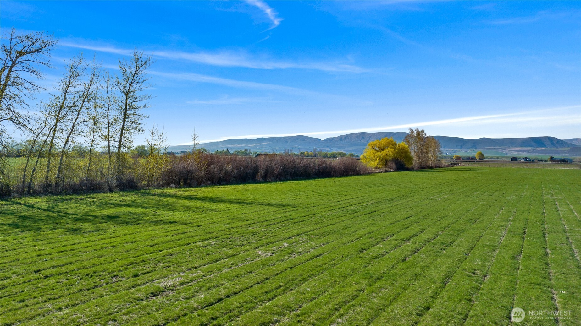 5-xx Rein Road Ellensburg, WA 98926 - Photo 5 of 20 a view of grassy field with mountain