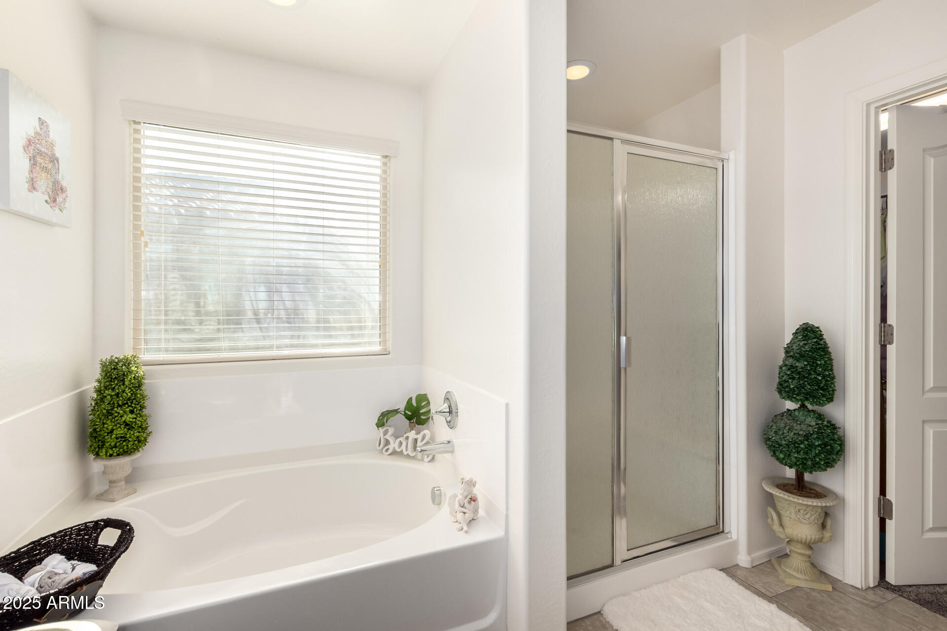 2665 East Gillcrest Road Gilbert, AZ 85298 - Photo 25 of 48 a white bath tub sitting next to a window