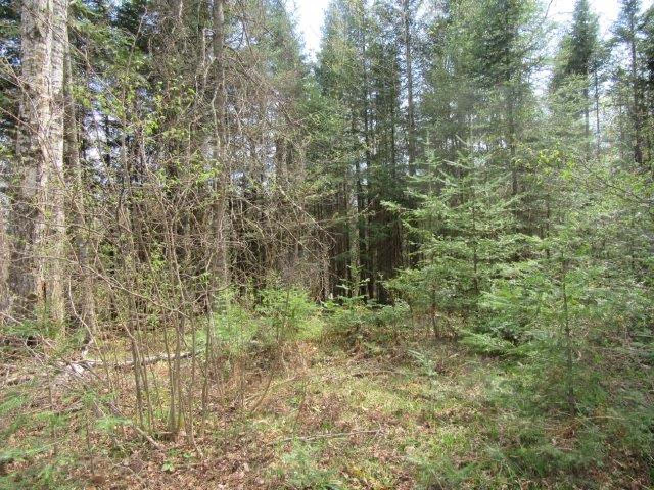 On Mallard Park Road Presque Isle, WI 54557 - Photo 2 of 11 Gallery Image 2