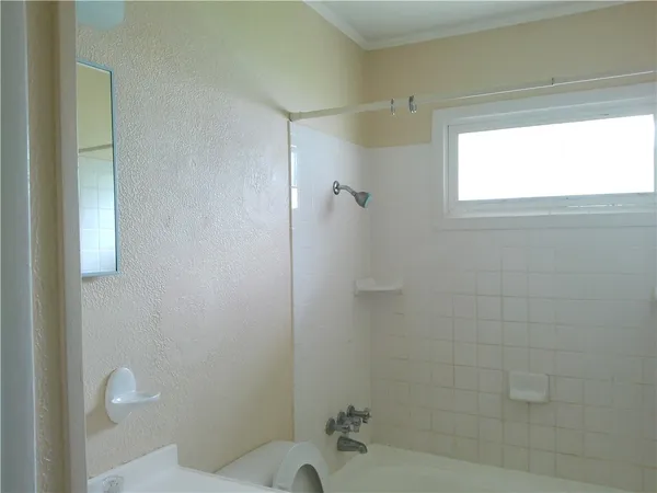 a bathroom with a shower and a toilet