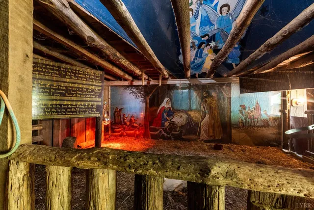 a view of swimming pool with lawn chairs and plants
