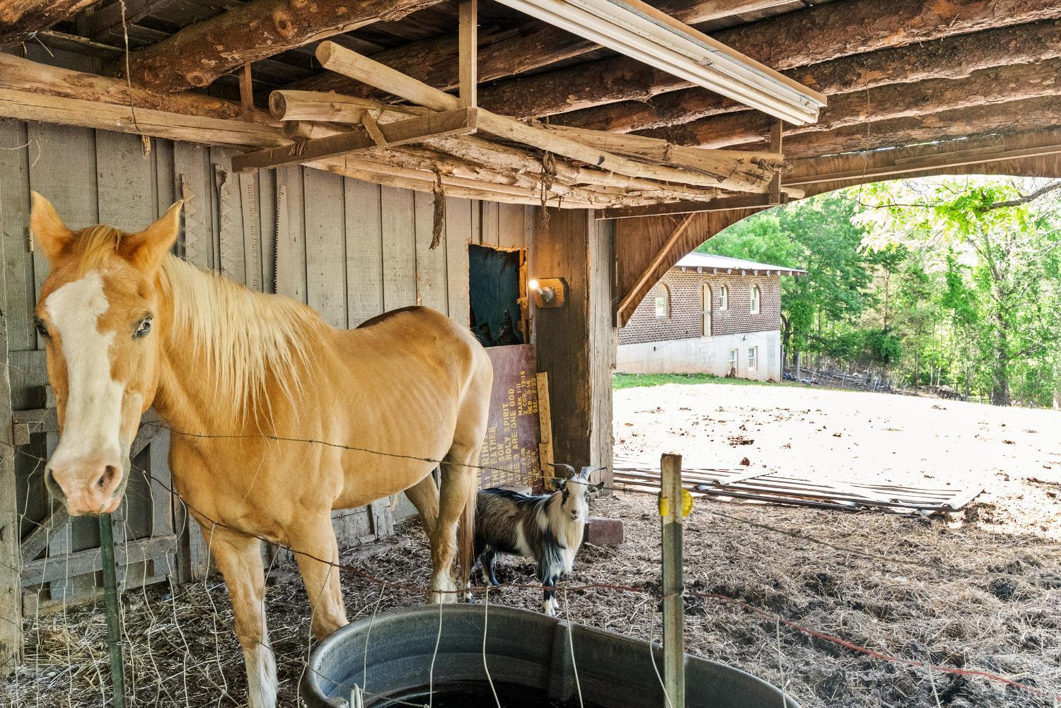 4067 Dickerson Mill Road Bedford, VA 24523 - Photo 38 of 90