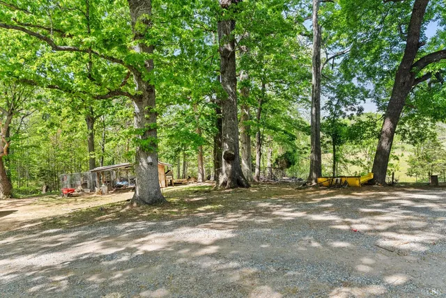 a view of backyard with green space