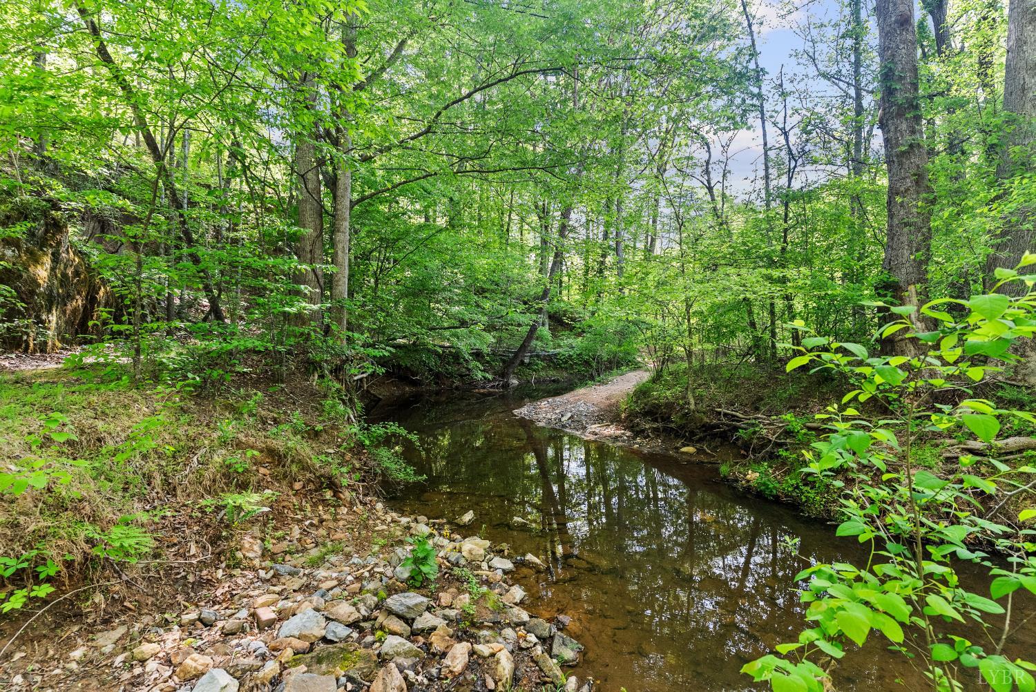 4067 Dickerson Mill Road Bedford, VA 24523 - Photo 44 of 90 a view of a garden