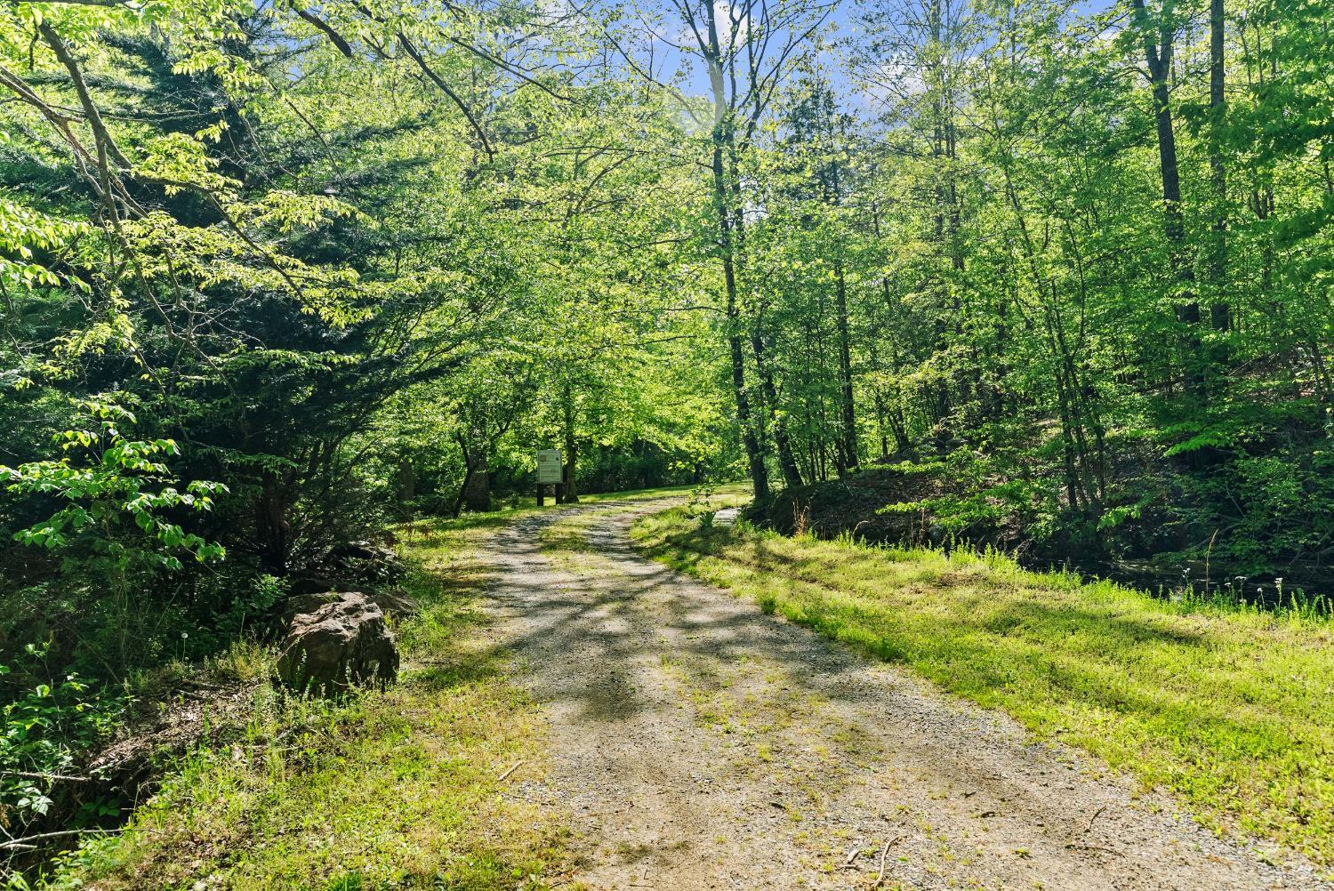 4067 Dickerson Mill Road Bedford, VA 24523 - Photo 47 of 90 a view of a yard with plants and large trees