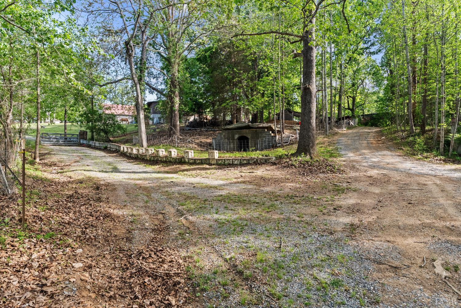 4067 Dickerson Mill Road Bedford, VA 24523 - Photo 76 of 90 a view of a yard with a tree
