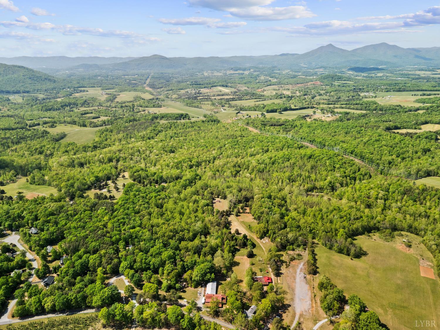4067 Dickerson Mill Road Bedford, VA 24523 - Photo 80 of 90 a view of a lush green hillside and houses