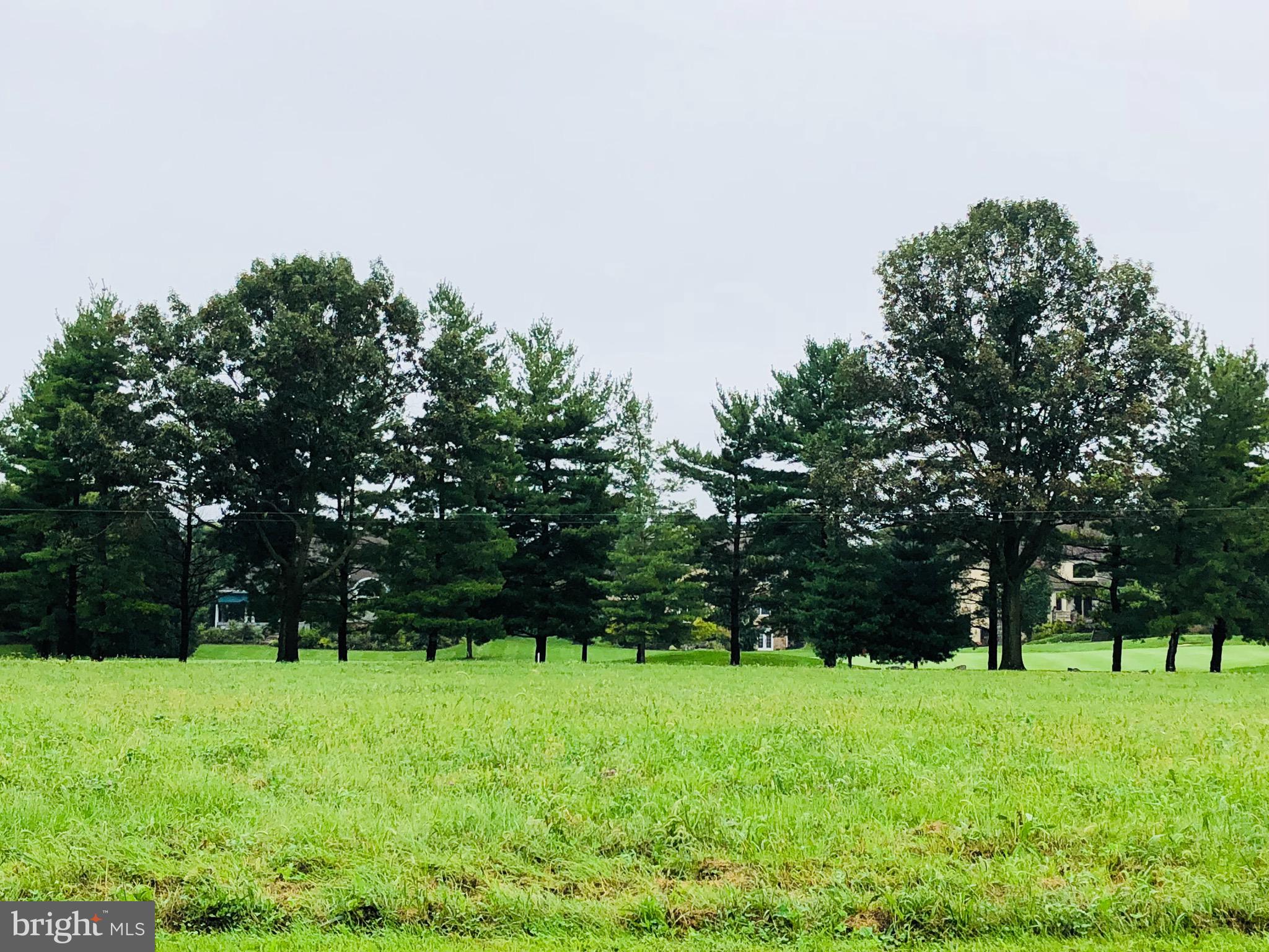a green field with lots of trees in it