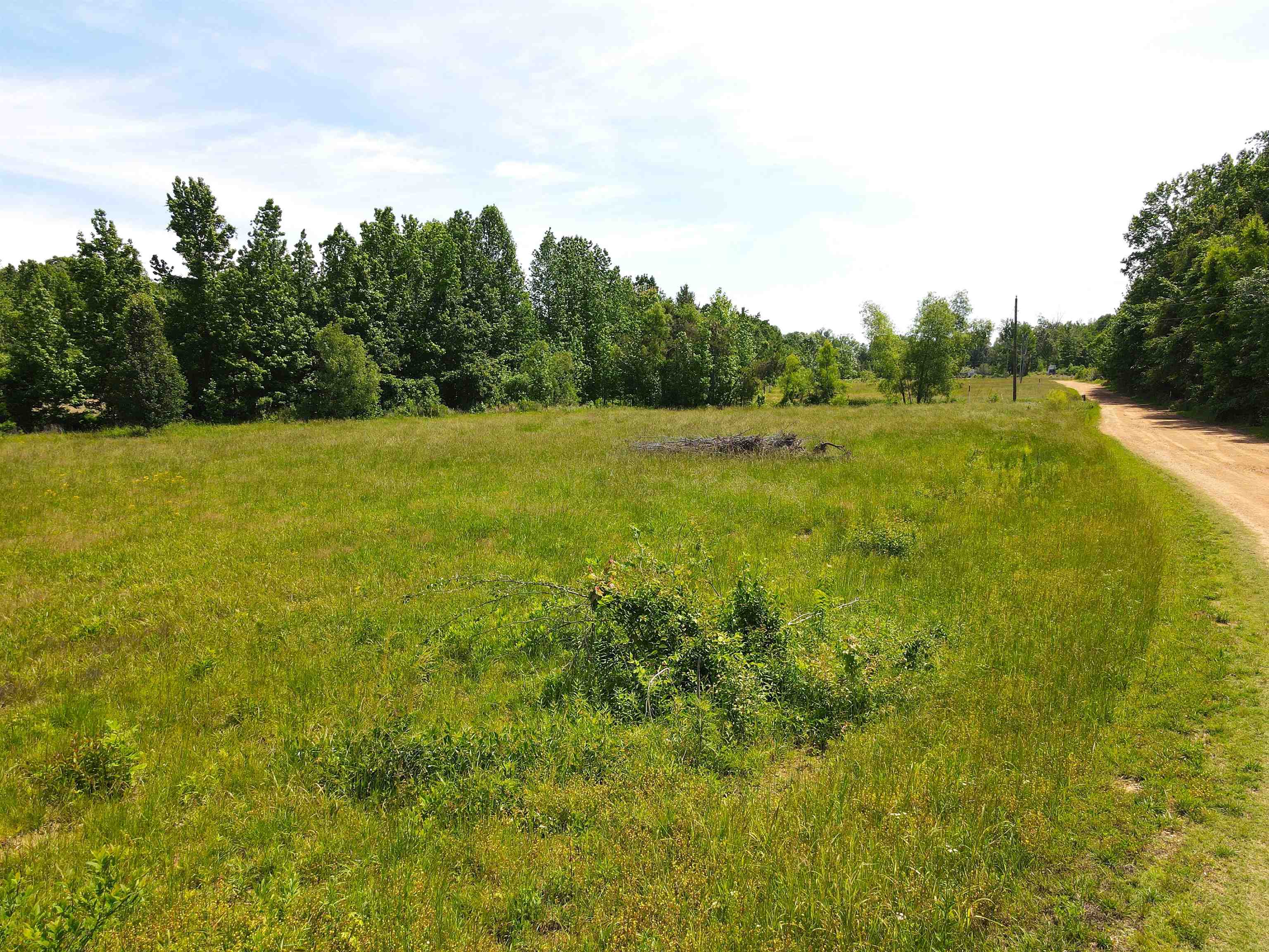 a view of outdoor space and yard