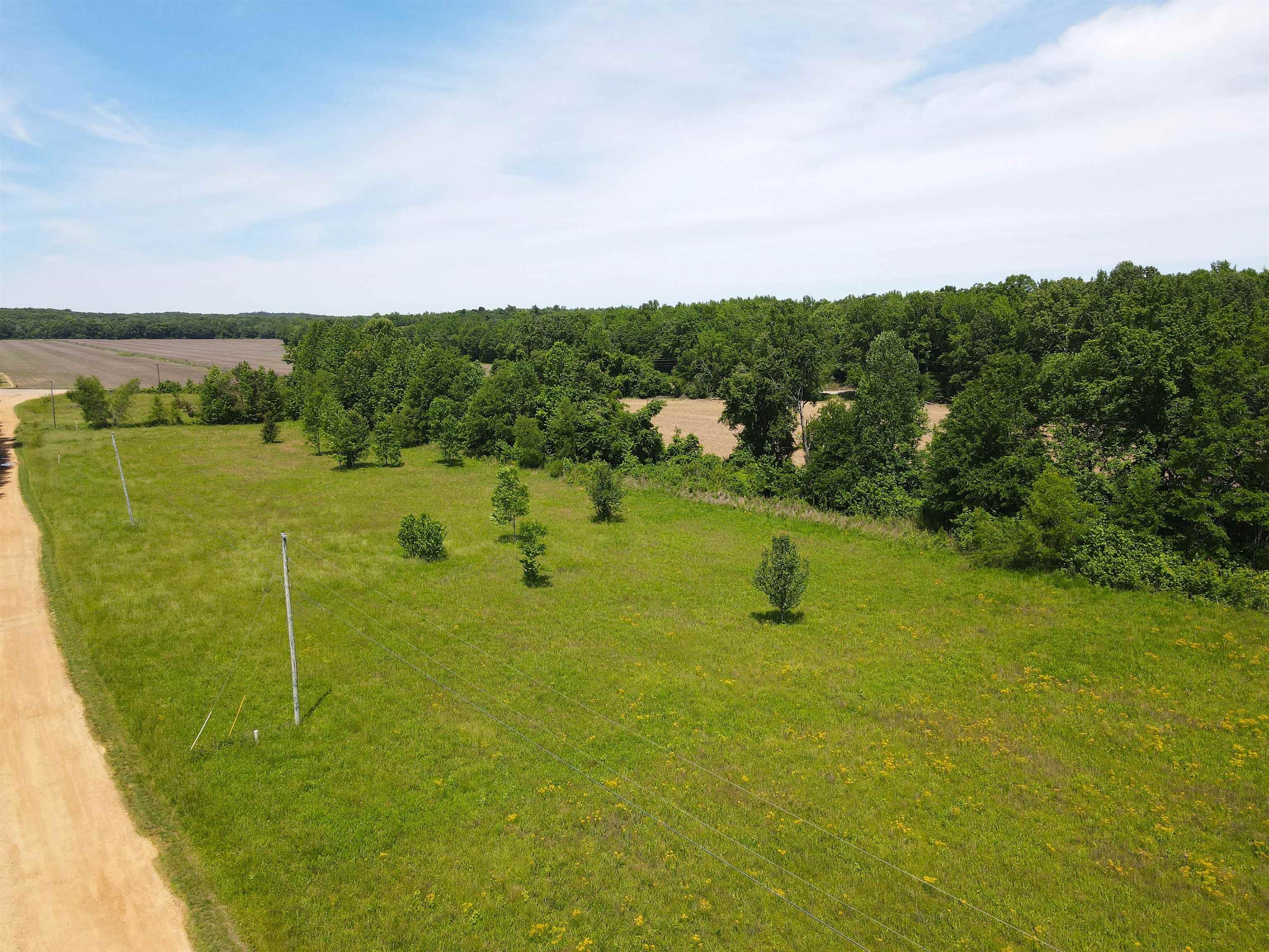 Charles Ward Way Selmer, TN 38375 - Photo 3 of 14 a view of a lake with a big yard