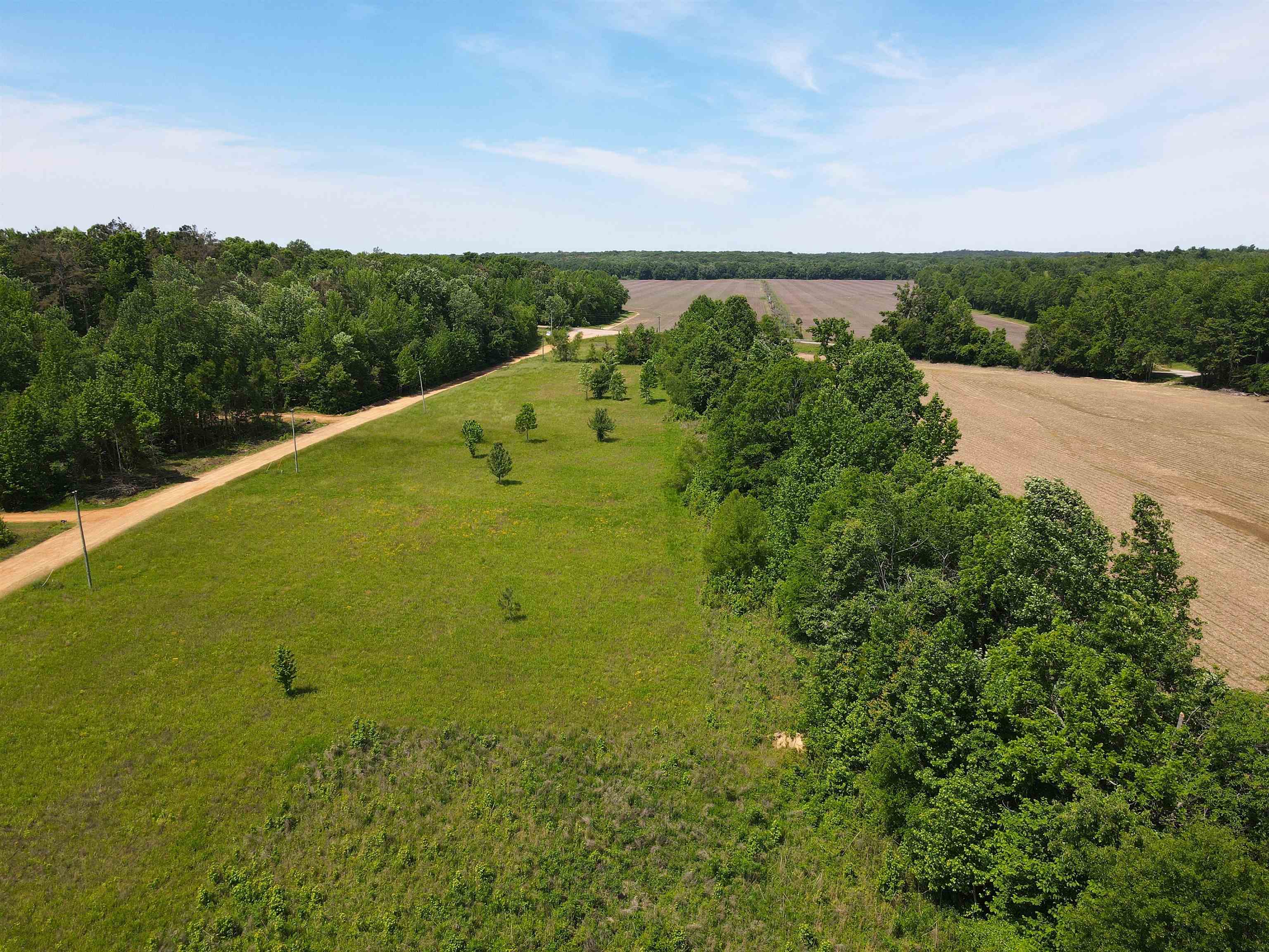 Charles Ward Way Selmer, TN 38375 - Photo 5 of 14 a view of a large body of water and mountain