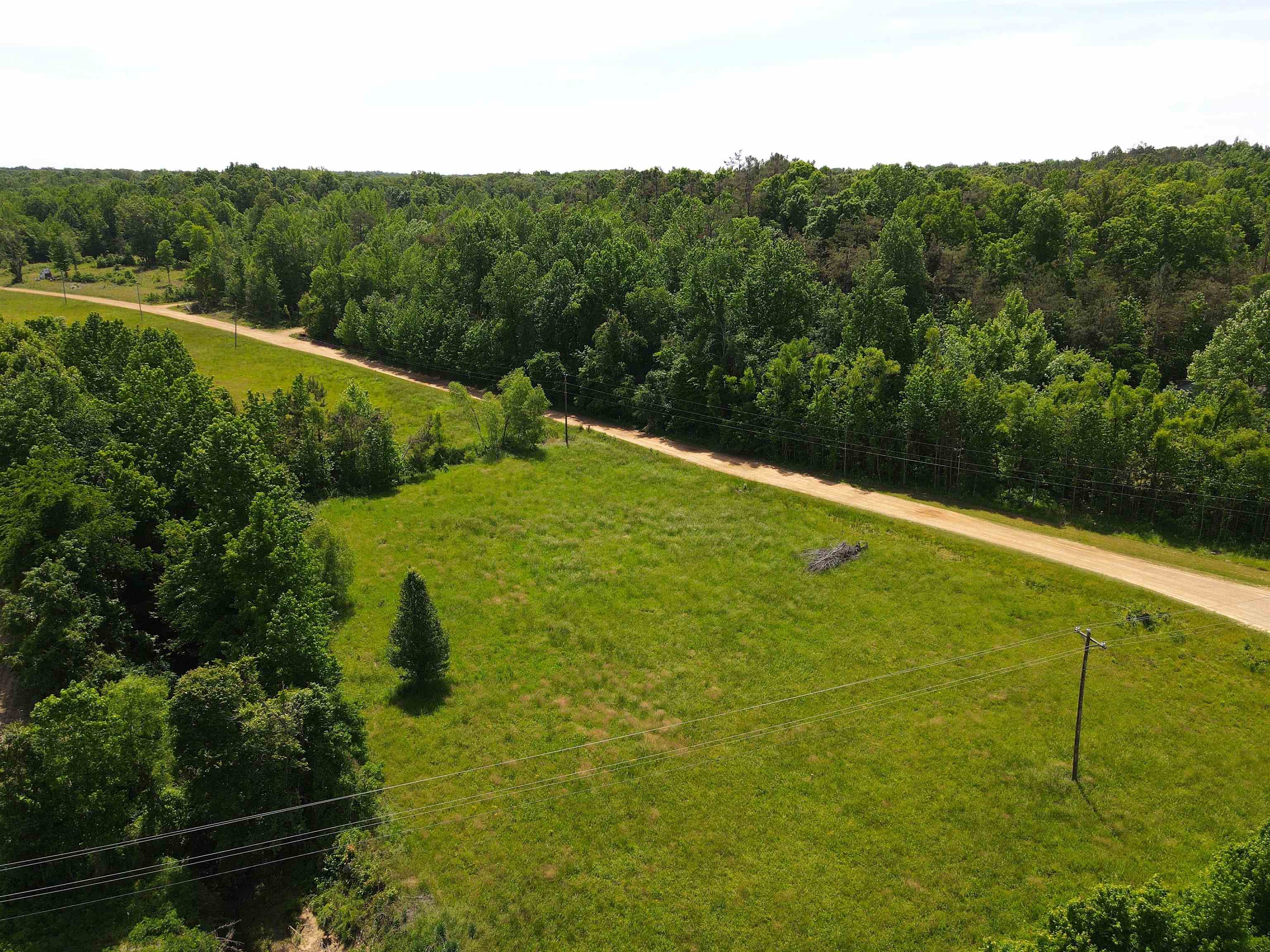 Charles Ward Way Selmer, TN 38375 - Photo 7 of 14 a view of a back yard