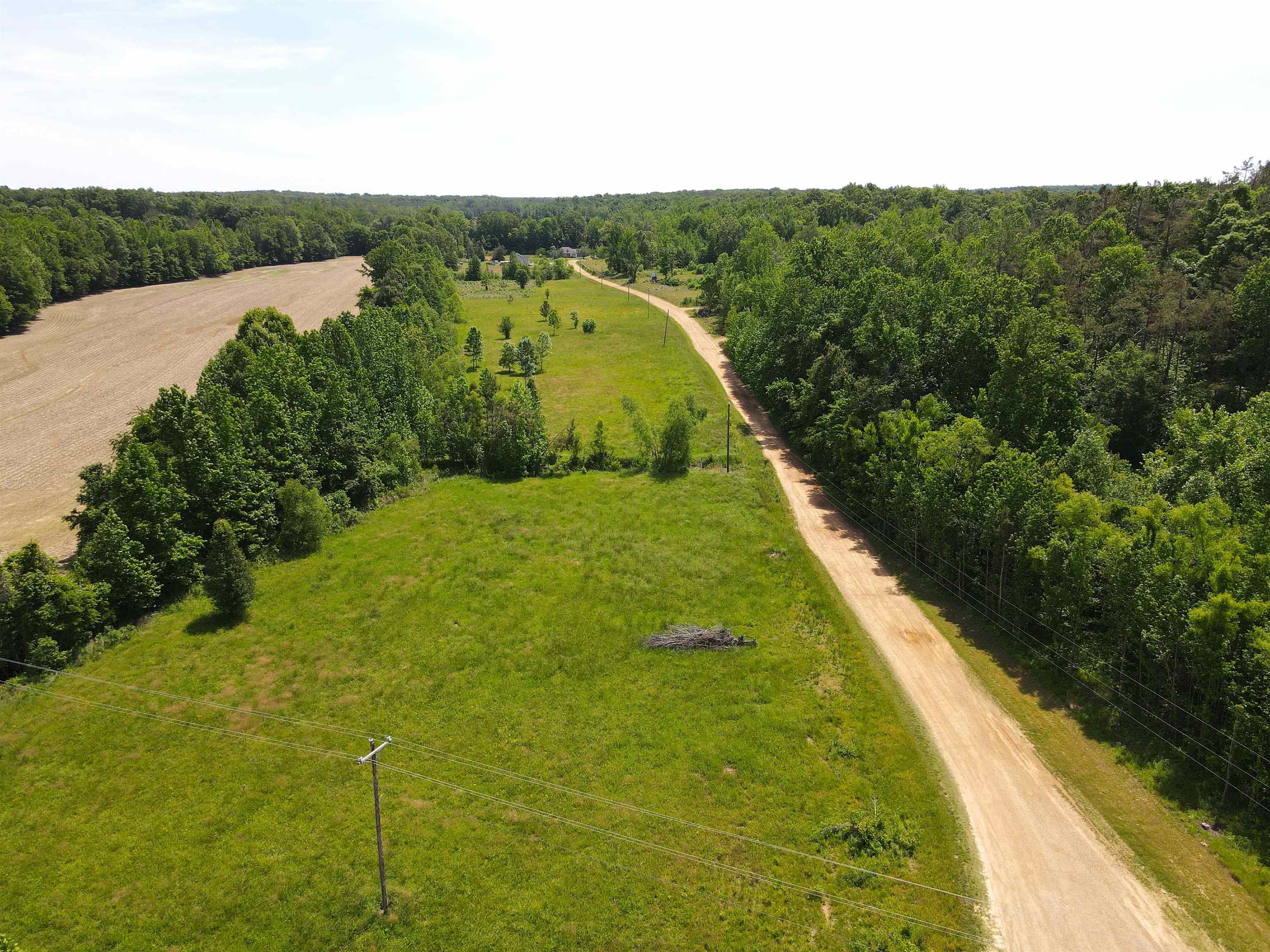 Charles Ward Way Selmer, TN 38375 - Photo 8 of 14 a view of a yard with plants