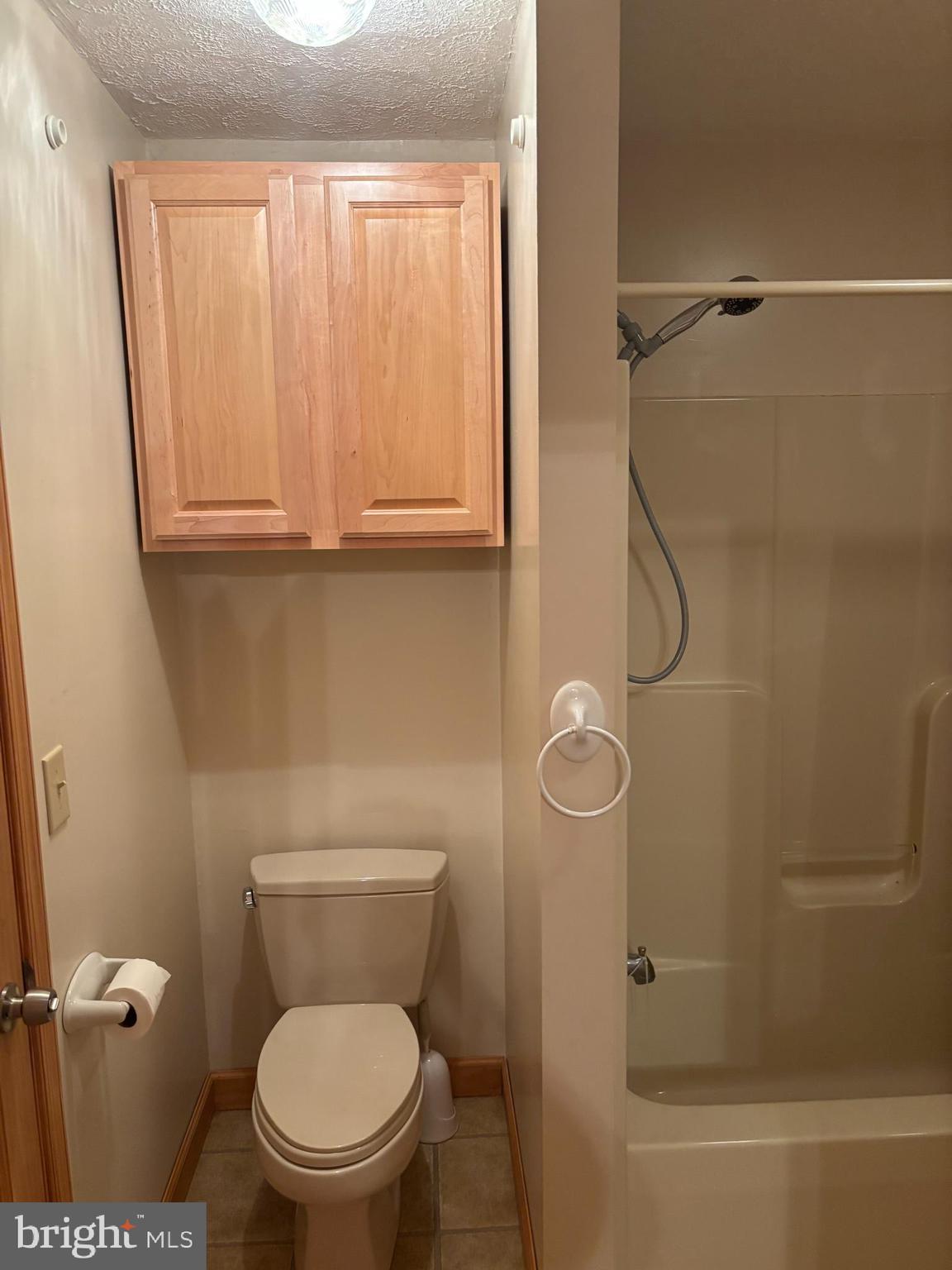 251 Riffey Mountain Lane Mathias, WV 26812 - Photo 17 of 33 Primary bedroom2 with shower tub
