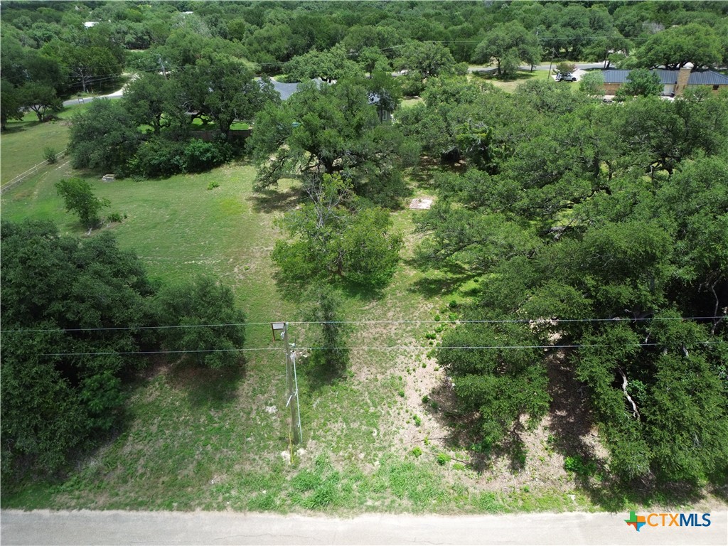 731 Santa Maria Road Salado, TX 76571 - Photo 3 of 15