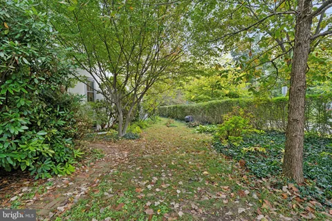 a backyard of a house with lots of green space