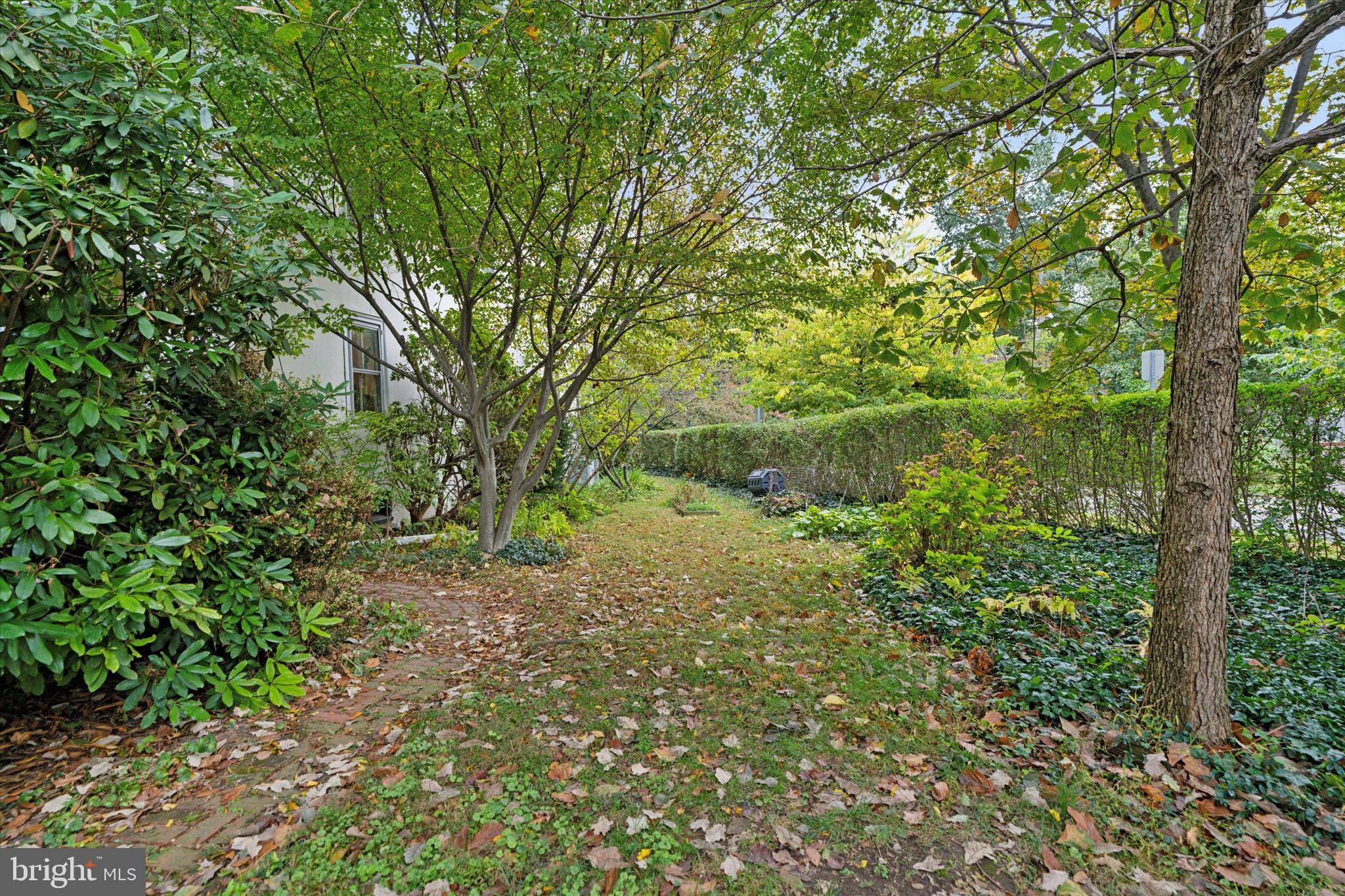 156 Idris Road Merion Station, PA 19066 - Photo 29 of 33 a backyard of a house with lots of green space